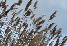 その他 2 Haus hafenblick