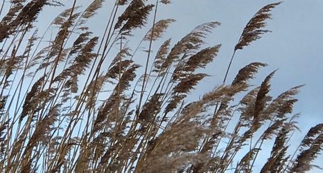 その他 2 Haus hafenblick