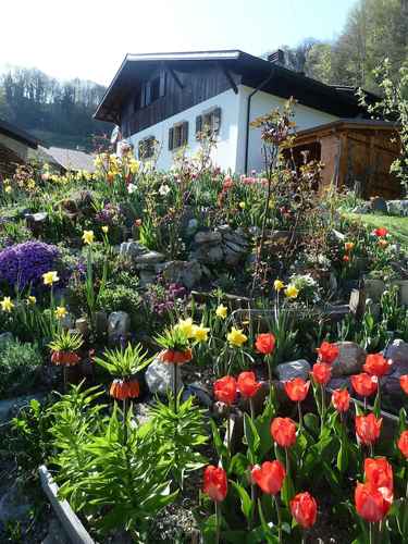 Le Jardin Fleuri Ollon Switzerland