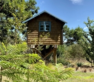 ภายนอกอาคาร 3 Tui Ridge Eco Cabins