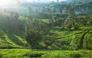 Tempat Tarikan Berdekatan 3 Ceylon Tea Trails