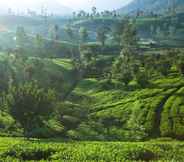 Tempat Tarikan Berdekatan 3 Ceylon Tea Trails