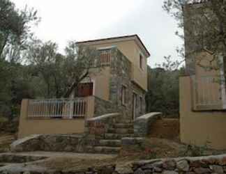 Exterior 2 Gera's Olive Grove