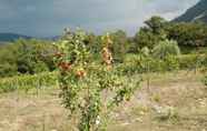 Common Space 7 Santa Pigna Country House