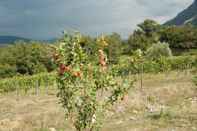 Common Space Santa Pigna Country House