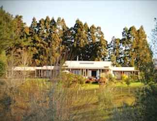 Exterior 2 Puketotara Lodge