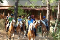 Pusat Kebugaran Padok Premium Hotel and Stables