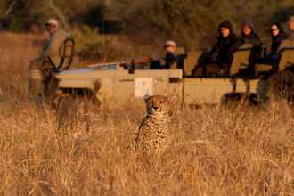 Lobi 4 Amakhosi Safari Lodge and SPA