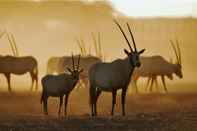 Sảnh chờ Anantara Sir Bani Yas Island Al Yamm Villa Resort