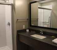 In-room Bathroom 5 Best Western Plus Dauphin