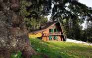 Exterior 7 Chalet Alpinka