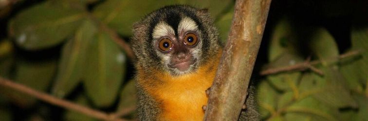 大廳 A Pousada do Rio Mutum