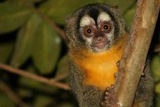 大廳 A Pousada do Rio Mutum