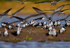 健身中心 3 A Pousada do Rio Mutum