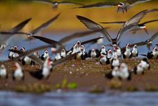 健身中心 A Pousada do Rio Mutum