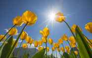 Ruang untuk Umum 6 Flowered Garden