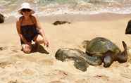 Tempat Tarikan Berdekatan 7 Kuleana Turtle Sanctuary Beach