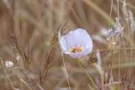 Fasilitas Hiburan Zion Wildflower