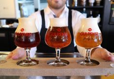 Bar, Cafe and Lounge 3 Luxurious Villa, Wood Stove, 4 km. From Maastricht