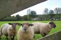 Exterior Luring Holiday Home in Callantsoog near Sea