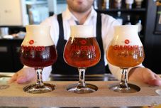 Bar, Cafe and Lounge Luxurious Villa With Sauna, 4 km. From Maastricht