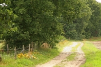 Common Space Spacious Farmhouse near Forest in Stramproy