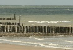 Others 4 Charming Flat in Zeeland With sea View