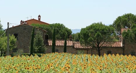 Exterior 2 Cosy Holiday Home in Cortona With Swimming Pool