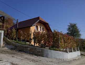 Exterior 2 Vineyard cottage Tramte