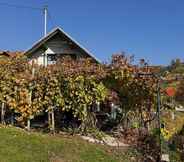 Exterior 5 Vineyard cottage Verček