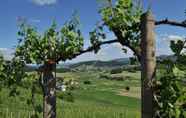 Nearby View and Attractions 4 Vineyard cottage Zdolšek