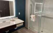 In-room Bathroom 4 La Quinta Inn & Suites by Wyndham Holbrook Petrified Forest