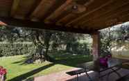 Khác 4 House Surrounded by Olive Trees