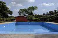 Swimming Pool Mango Tree Farm
