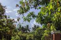 Exterior Mango Tree Farm