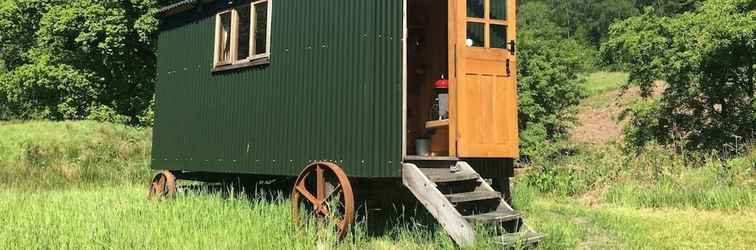 Exterior Cosy Woodland off Grid Shepherds Hut - Rowan