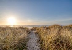 周邊景點與觀光 7 Whale Watcher Condo #3