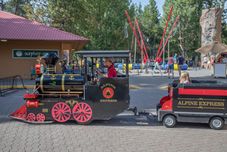 Bangunan Dragonfly Cabin