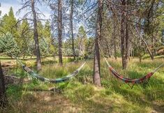 Ruang untuk Umum 5 Dragonfly Cabin