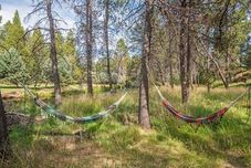 Ruang untuk Umum Dragonfly Cabin
