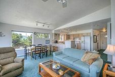 公共空間 Shell Haven