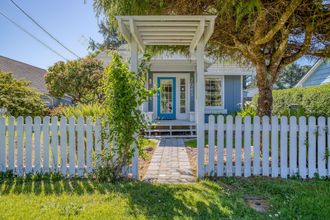 外部的 4 Blue Pineapple