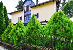 Lainnya 4 Boutique Hotel Sena