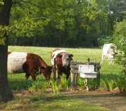 Lain-lain 4 Holiday Cottage in Schijf With a Fenced Garden