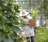 Ruang untuk Umum 4 Babylonstoren