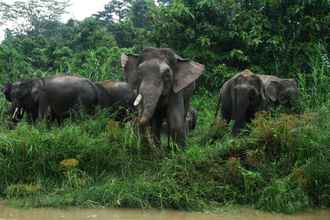 Luar Bangunan 4 Borneo Nature Lodge