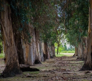 Ruang untuk Umum 7 Hacienda Histórica Marchigüe