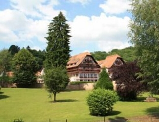 Exterior 2 Hotel des Vosges