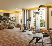 Fitness Center 5 Red Fox Hotel, Delhi Airport