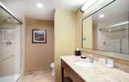 In-room Bathroom 2 Hampton Inn & Suites Denver/South-RidgeGate